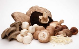Alimentos zero calorias: cogumelos